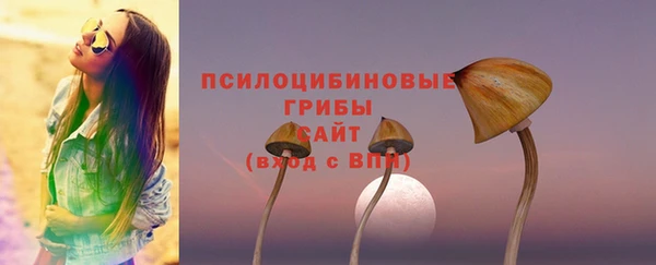 ALPHA-PVP Белокуриха