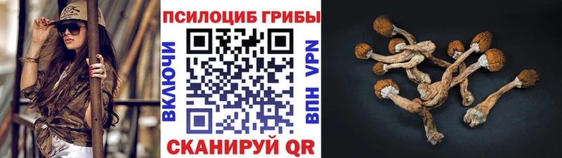 Псилоцибиновые грибы Cubensis Теберда
